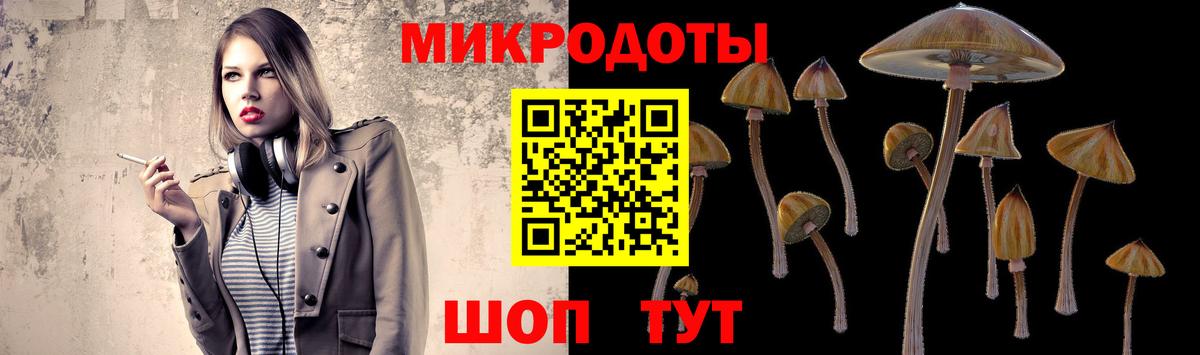 Псилоцибиновые грибы Psilocybine cubensis Коркино